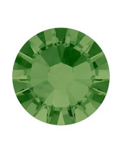 evoli 2058 Fern Green