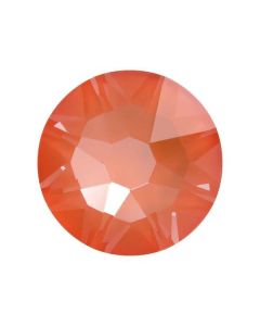 evoli 2078 Crystal Orange Ignite HFt