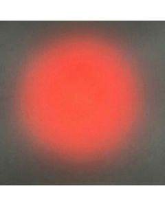 Carvico Stretch Net Shading Circle Ombre Black Cherry