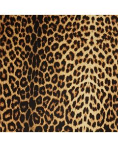 Panther Print Carvico Lycra