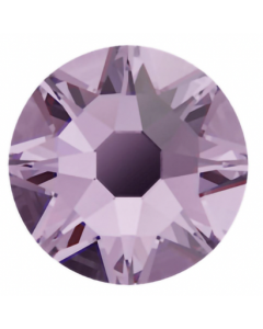 evoli 2088 VIOLET F