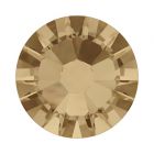 evoli 2058 Crystal Golden Shadow F