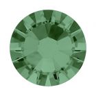 evoli 2058 Erinite F