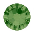 evoli 2058 Fern Green