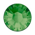 evoli 2078 Fern Green A HF