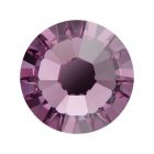 evoli 2058 Iris F