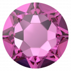 evoli 2078 Dark Rose A HF