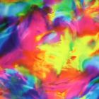 Mystical Rainbow print Carvico Lycra