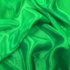 Chrisanne Satin Chiffon Electric Green