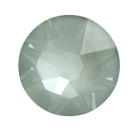 evoli 2088 CRYSTAL AGAVE IGNITE