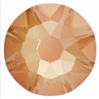 evoli 2088 CRYSTAL ELECTRIC ORANGE DELITE