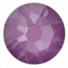evoli 2088 CRYSTAL ORCHID IGNITE
