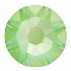 evoli 2088 CRYSTAL ELECTRIC GREEN DELITE