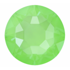 evoli 2088 CRYSTAL ELECTRIC GREEN IGNITE