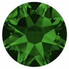 evoli 2088 DARK MOSS GREEN F