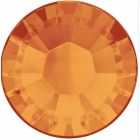 evoli 2088 SUN SHIMMER F