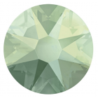 evoli 2088 PACIFIC OPAL F