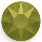 evoli 2088 KHAKI F
