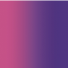 Carvico Lycra Shading Purple Flamingo