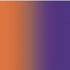 Carvico Lycra Shading Purple Pumpkin