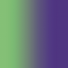 Carvico Lycra Shading Purple Green