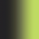 Carvico Stretch Net Shading 145 cm Black Lime