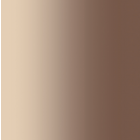 Carvico Stretch Net Shading 145 cm Light Mocha