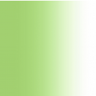 Carvico Stretch Net Shading 145 cm White Green