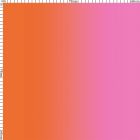 Carvico Stretch Net Shading Pink Pumpkin