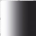 Carvico Stretch Net Shading White Black